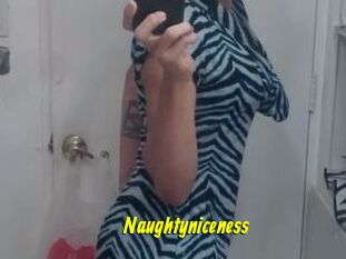 Naughtyniceness