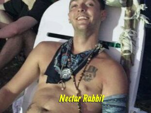 Nectar_Rabbit