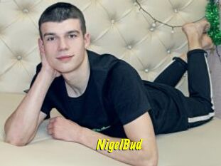 NigelBud