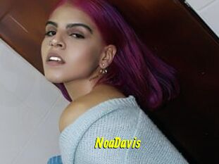 NoaDavis