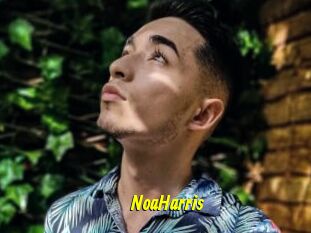 NoaHarris
