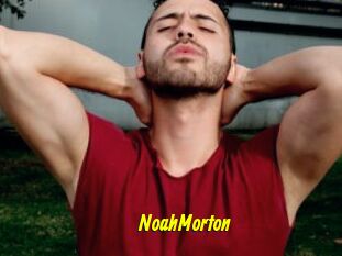 NoahMorton