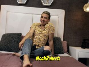 NoahRoberts