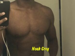 Noah_Grey