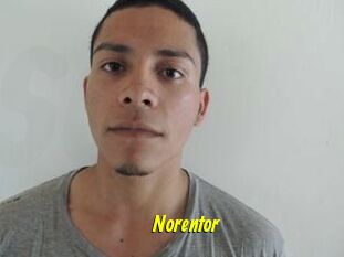 Noren_tor