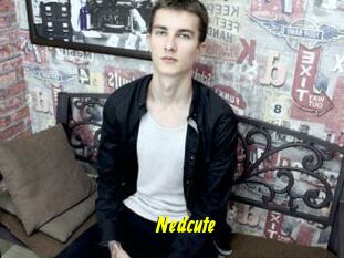 Nedcute
