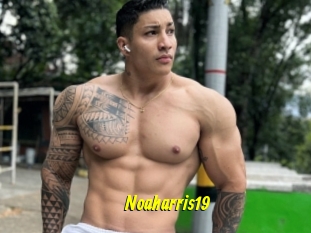 Noaharris19