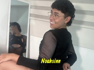 Noahsinn