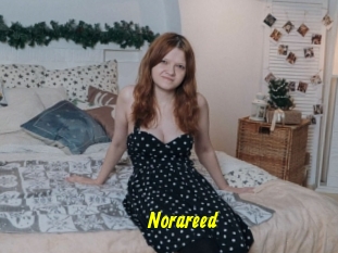 Norareed