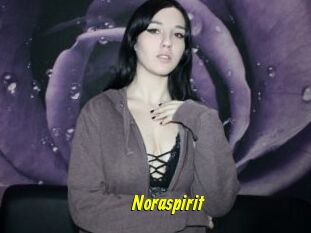 Noraspirit