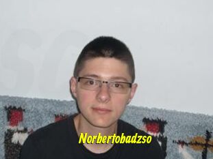 Norbertobadzso