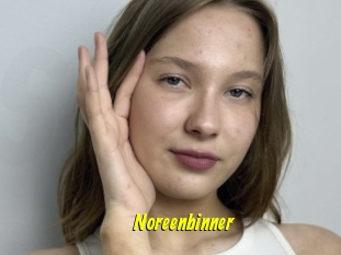 Noreenbinner