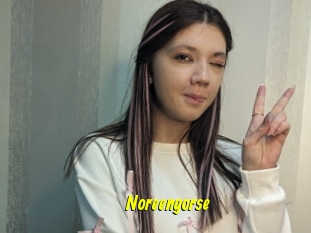 Noreengorse