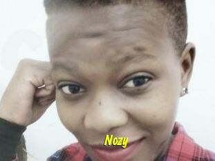 Nozy