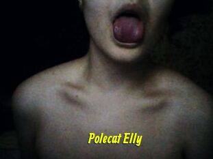 Polecat_Elly