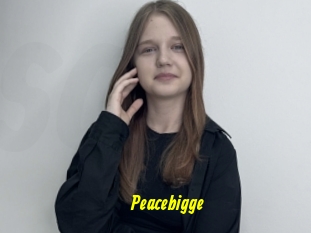 Peacebigge