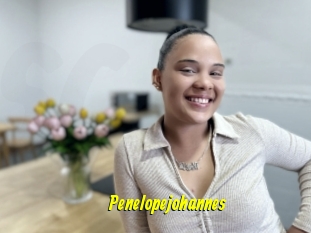Penelopejohannes