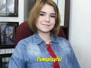 Pumaplayful