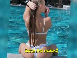 Raisin_free_cookiesX