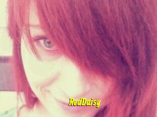 RedDaisy
