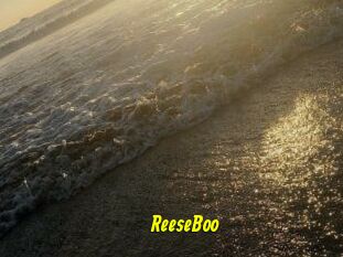 ReeseBoo