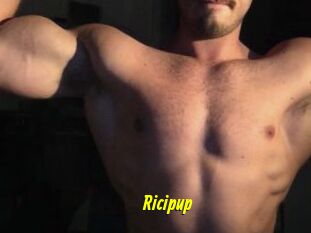 Ricipup