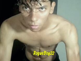 RogueBoy22