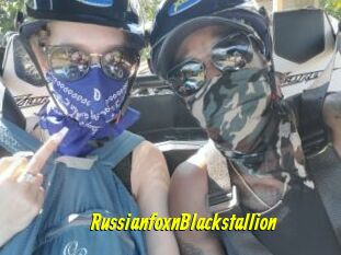 RussianfoxnBlackstallion