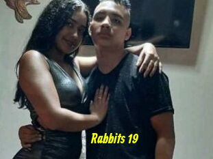 Rabbits_19