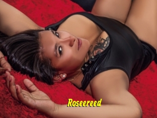 Roseereed