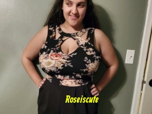 Roseiscute