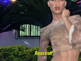 Rosesscott