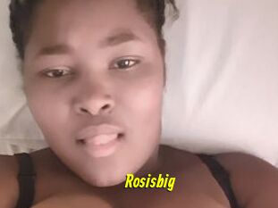 Rosisbig
