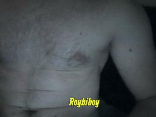 Roybiboy