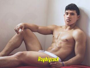 Roybigcock