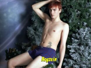 Royzein