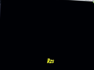 Rzs