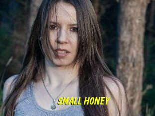 SMALL_HONEY
