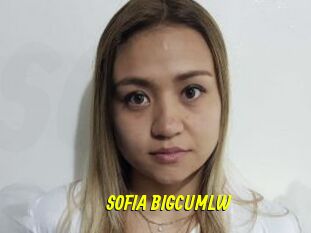 SOFIA_BIGCUMLW