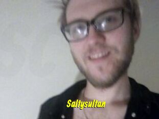 Saltysultan