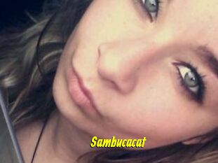 Sambucacat