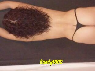 Sandy1000