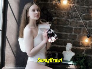 SandyBrawl