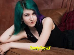 SandySnowX