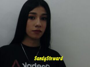 SandySteward