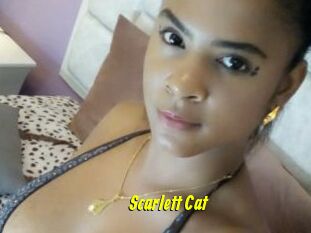 Scarlett_Cat