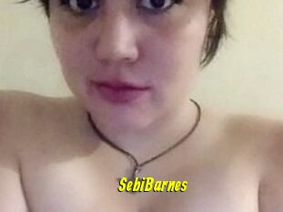 Sebi_Barnes