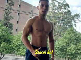Sensei_hot
