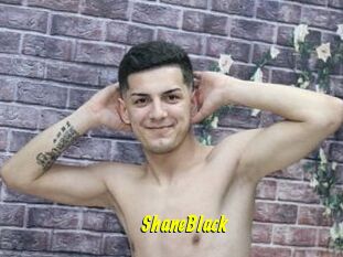 ShaneBlack