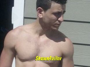 Shawn_Avilov